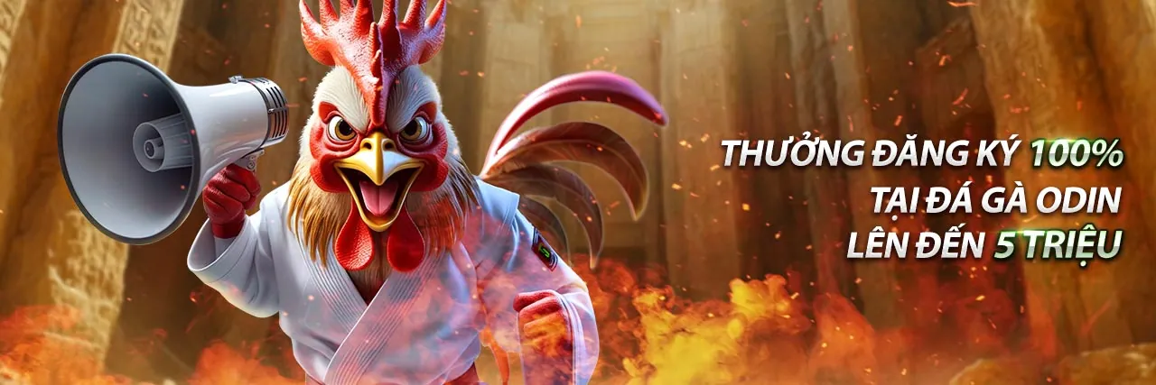 Nền tảng cá cược trực tuyến 8day8